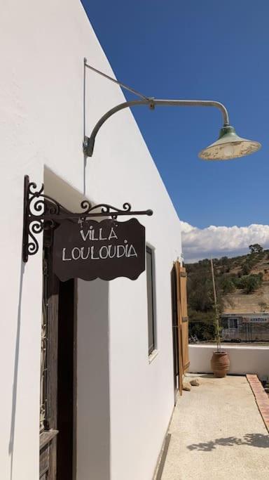 Villa Louloudia Stylish Luxury Villa With Private Pool ปิตซีเดีย ภายนอก รูปภาพ