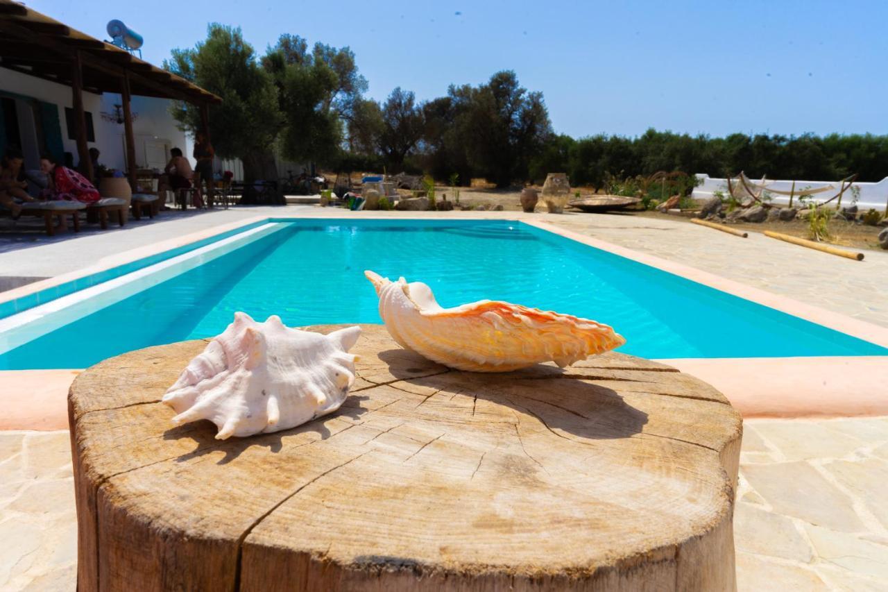 Villa Louloudia Stylish Luxury Villa With Private Pool ปิตซีเดีย ภายนอก รูปภาพ